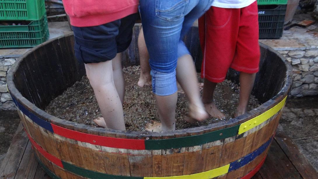 πατημα σταφυλιων