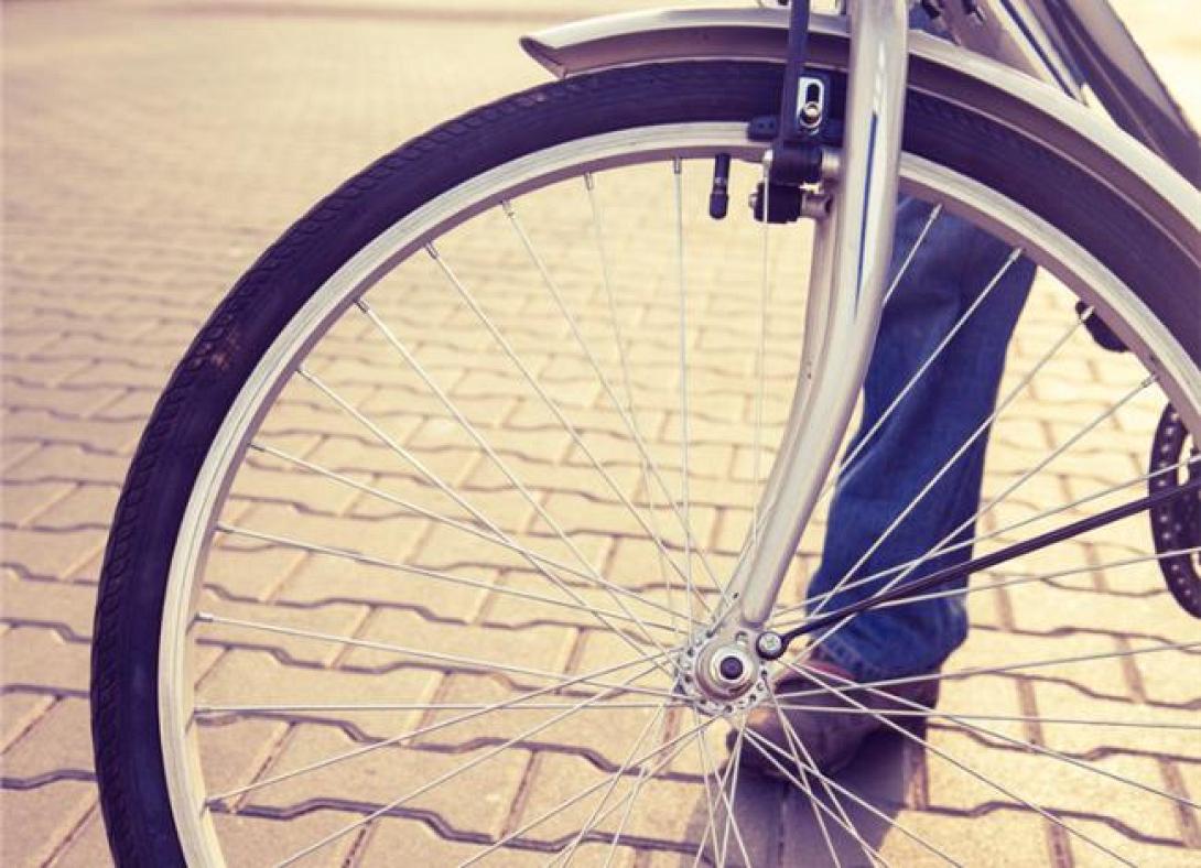 Ορθοπεταλιές