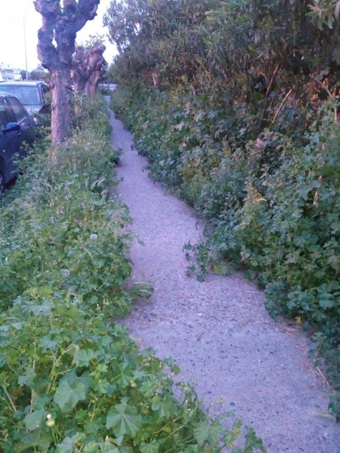 πεζοδρόμιο δουκός μποφόρ