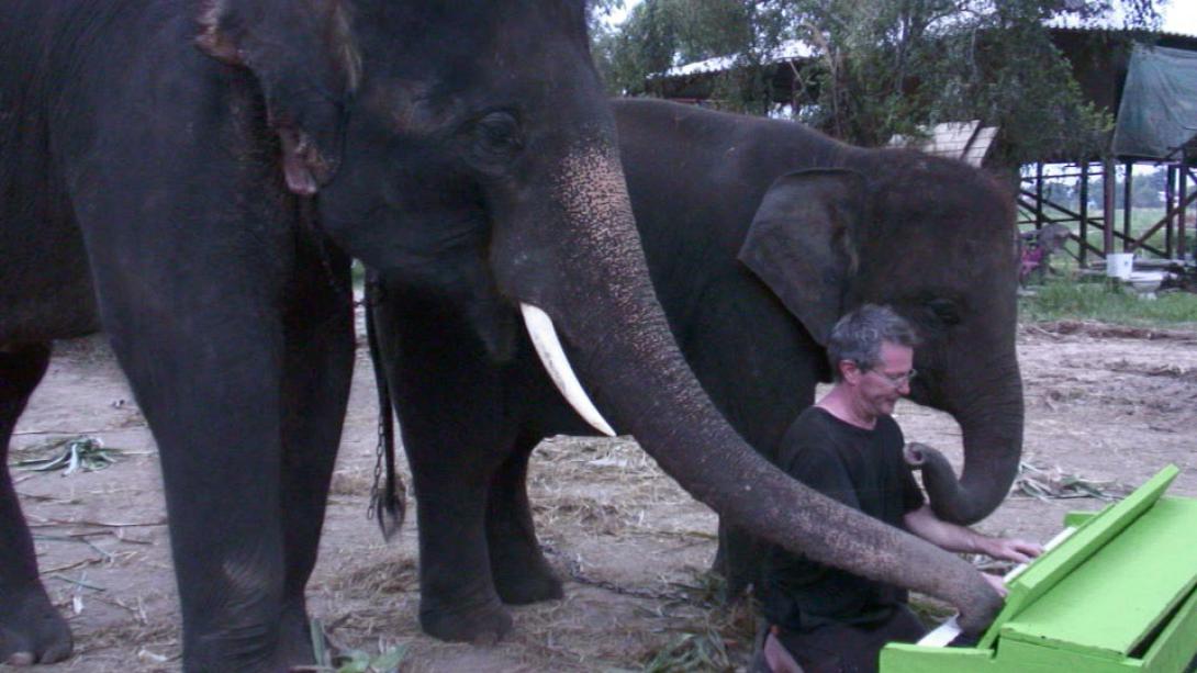 Ένας ελέφαντας που έπαιζε ...πιάνο!!!