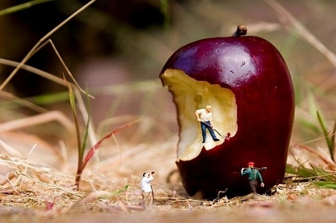 Τέχνη με μικροσκοπικούς ανθρώπους πάνω σε φαγητά! (φωτογραφίες)