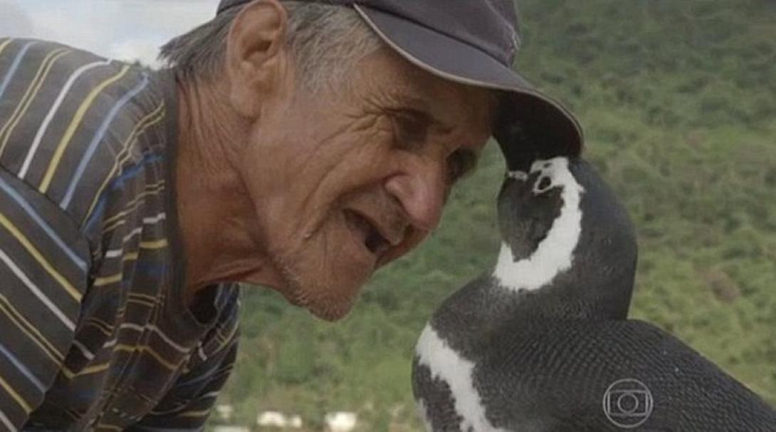 πιγκουινος