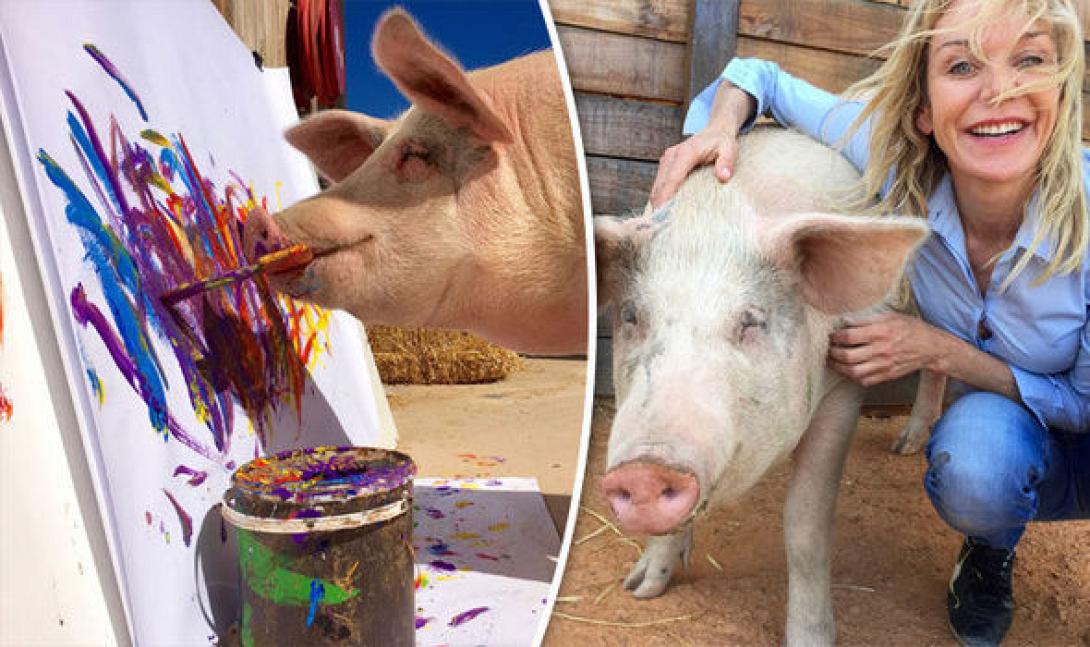 pigcasso.jpg