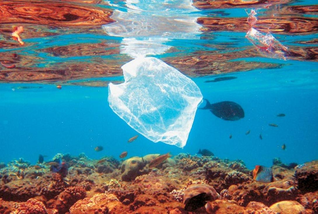 Η πλαστική σακκούλα "πνίγει" τις θάλασσες