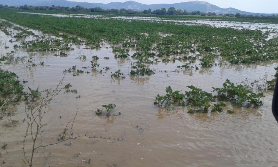 Προσωρινή αναστολή πληρωμής δημοτικών τελών για τους πλημμυροπαθείς