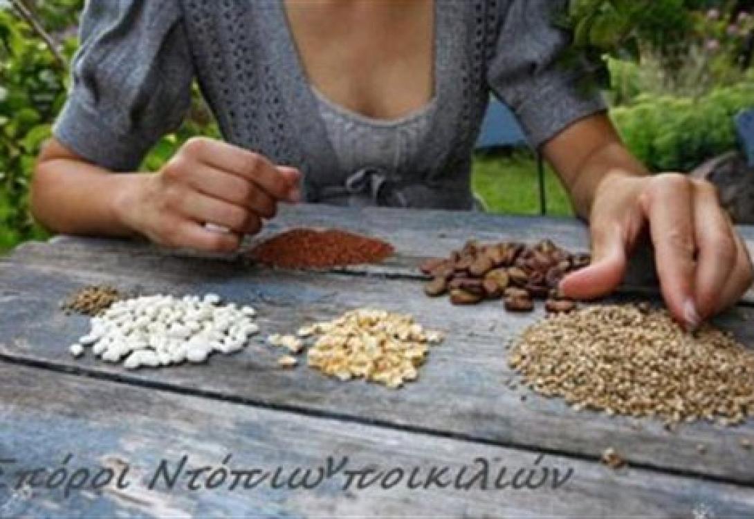 παραδοσιακες ποικιλιες