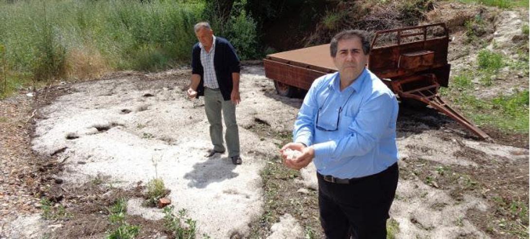 Τι κάνουν σήμερα οι πολιτικοί που δεν κατάφεραν να μπουν στη Βουλή (φωτο)