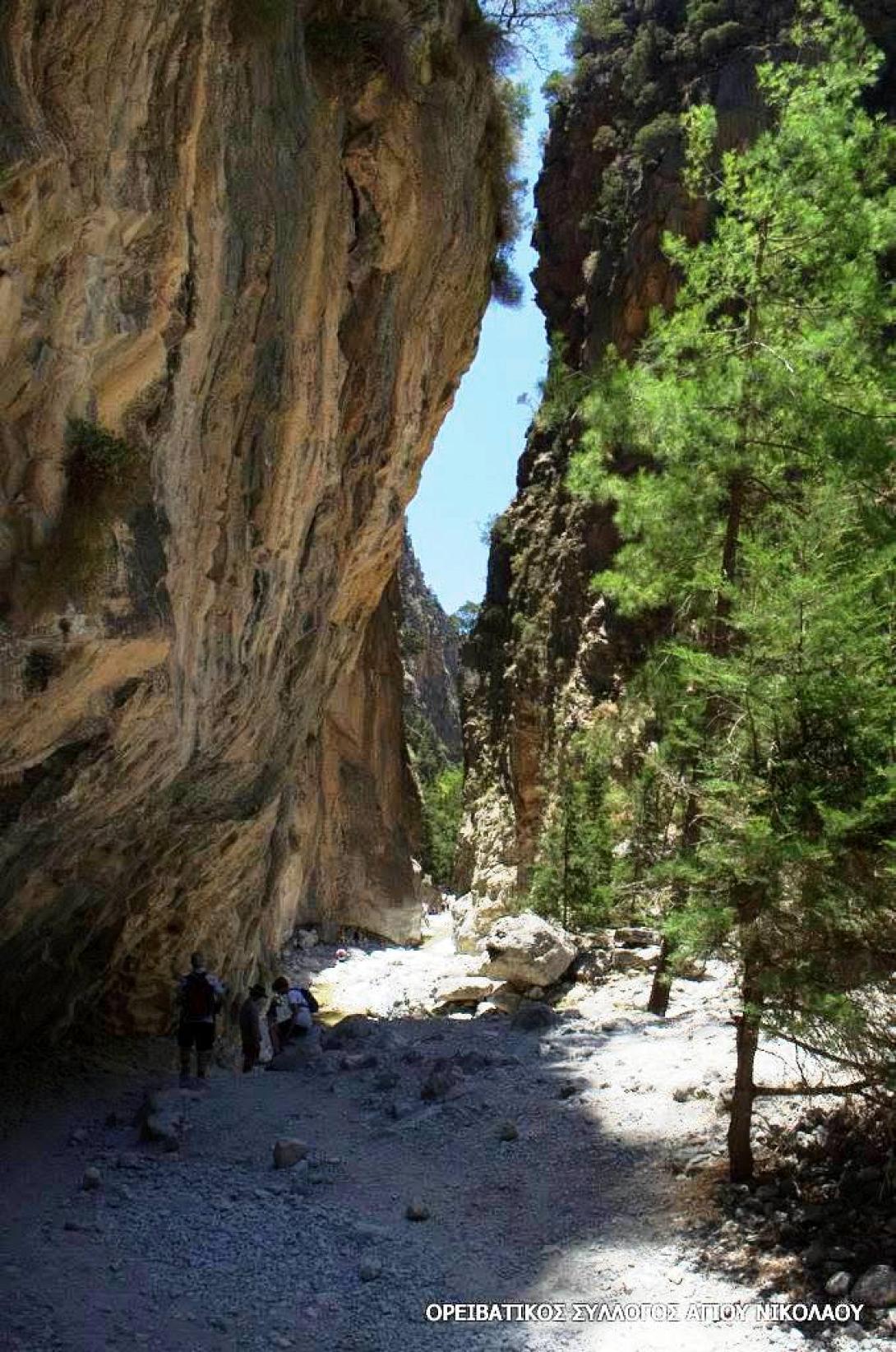 πορτες σαμαρια.jpg