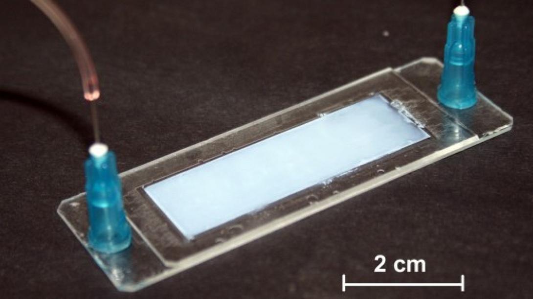 Υψηλή τεχνολογία καθαρίζει το νερό με ηλιακό φως