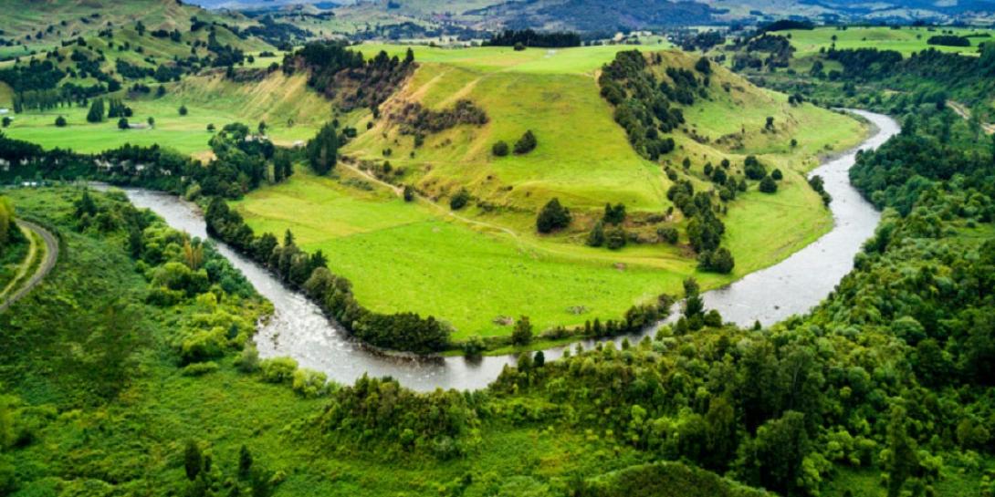 Ποταμος whanganuι