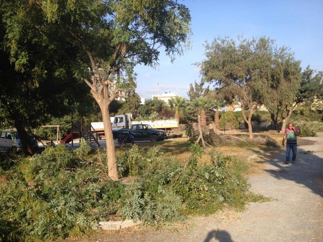 δεντρα ηρακλειο