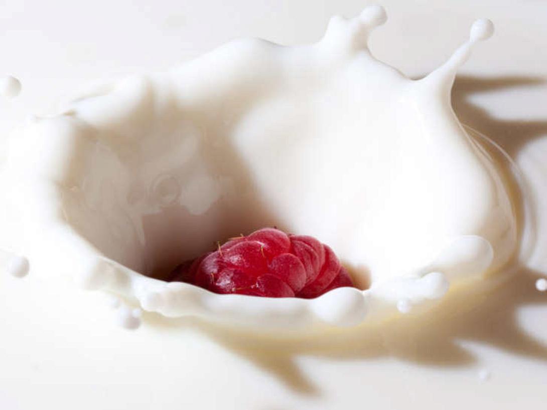 Προβιοτικά: τα φιλικά μας βακτήρια