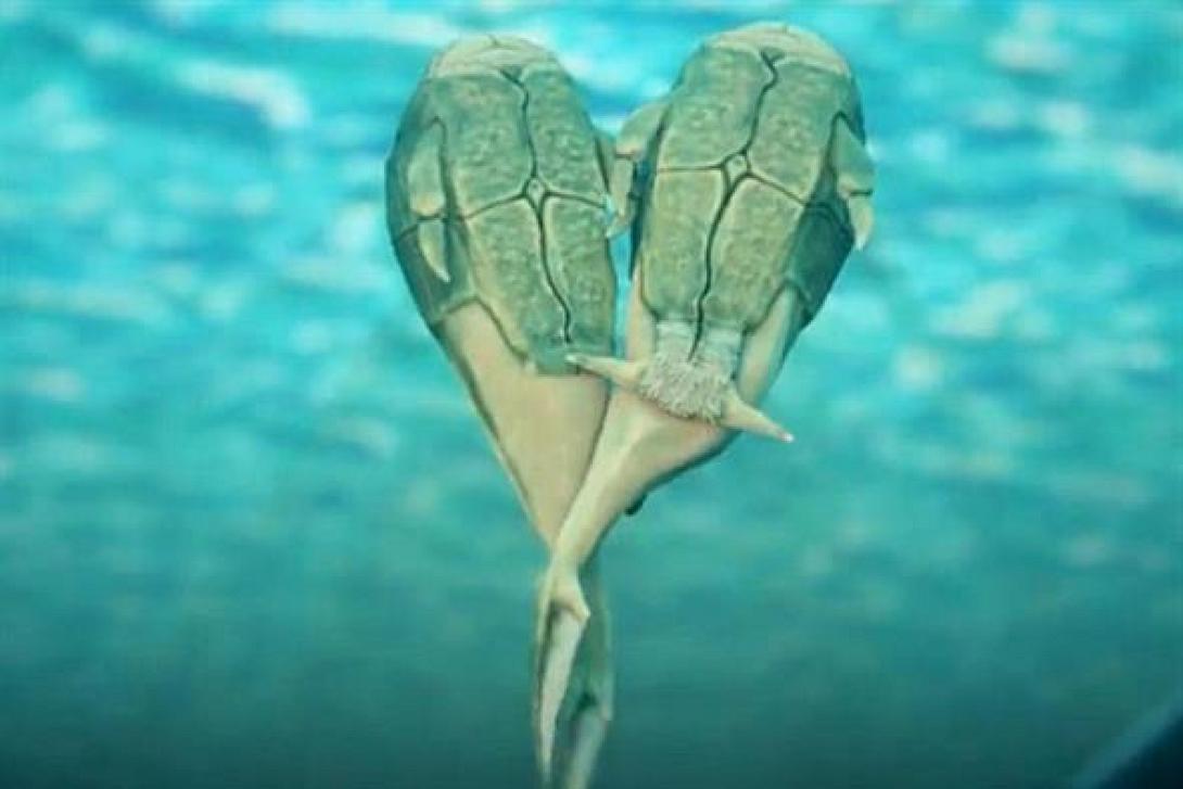 Τα ψάρια έκαναν σεξ πριν απο 385 εκατ. χρόνια