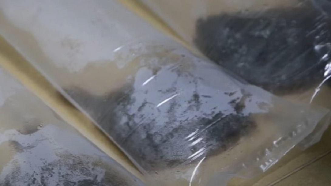 Τα ψάρια του πειράματος