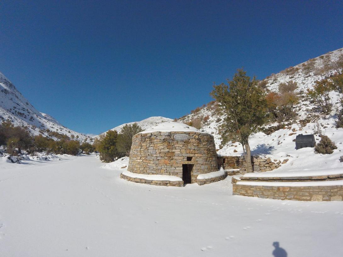 ψηλορειτης