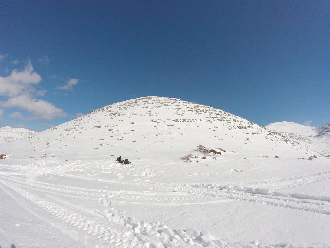 ψηλορειτης