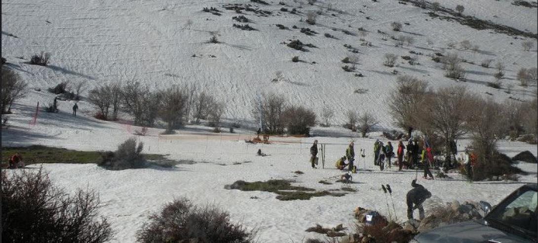 ψηλορείτης