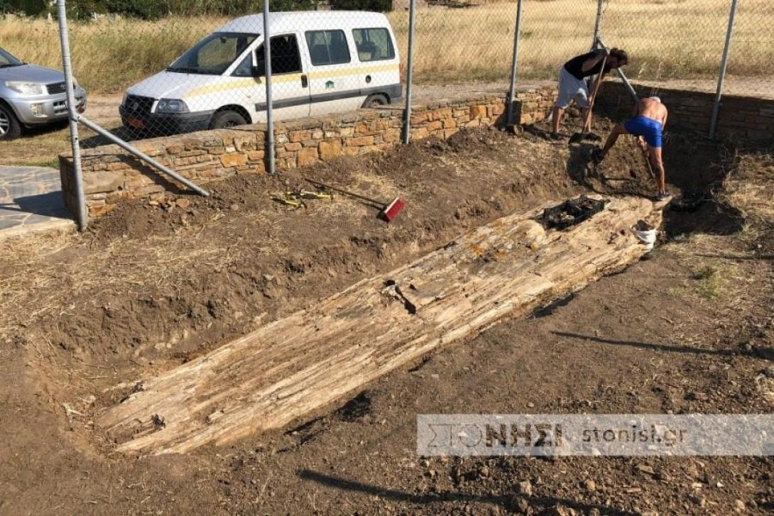 Γιγαντιαίος κορμός 8 μέτρων- Λήμνος