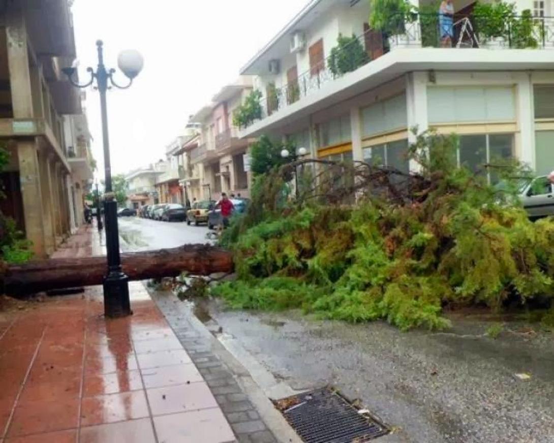 Τροχαίο ατύχημα με απεγκλωβισμό και πτώσεις δέντρων λόγω καιρού σε Ηράκλειο και Λασίθι