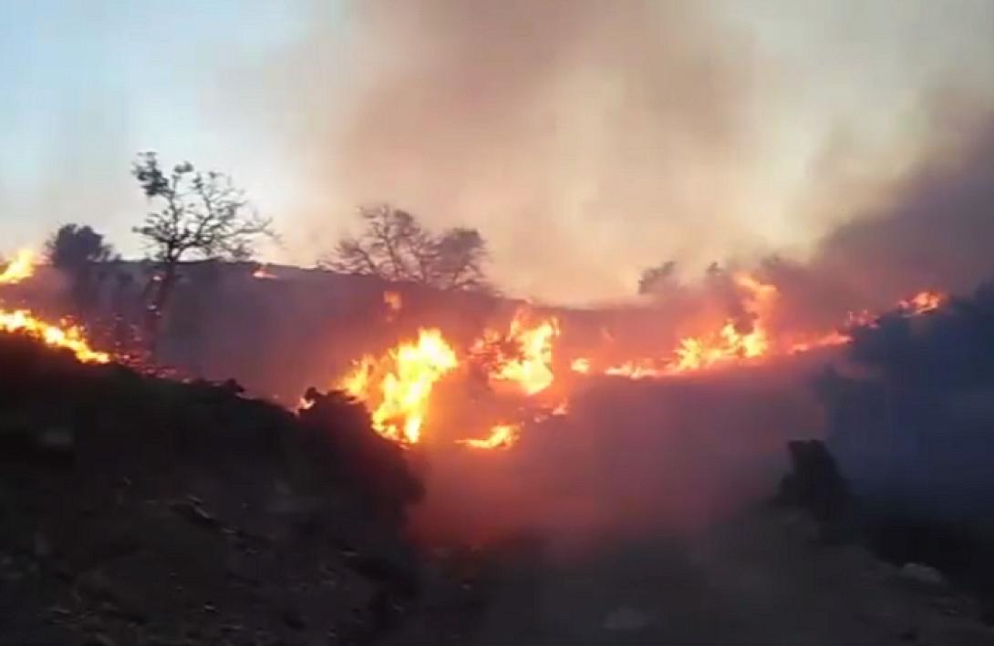 Φωτό αρχείου