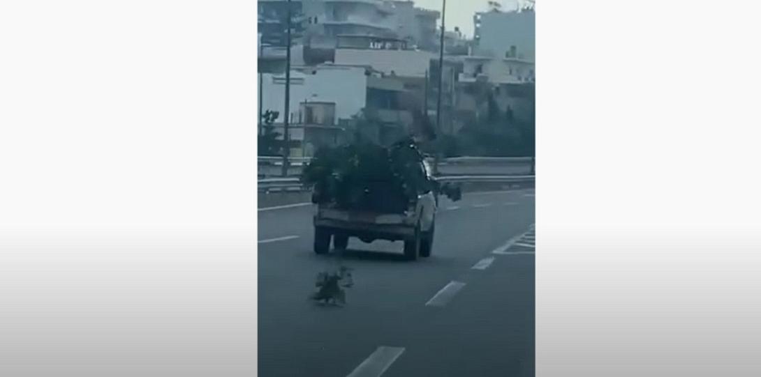 αγροτικό κλαδιά