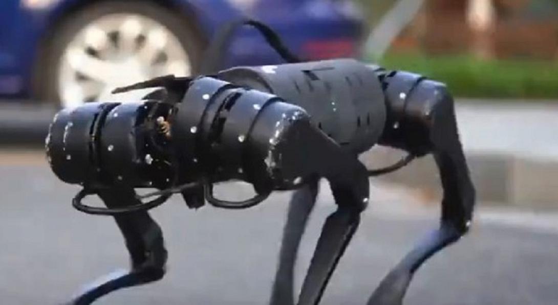 ο πρώτος σκύλος ρομπότ