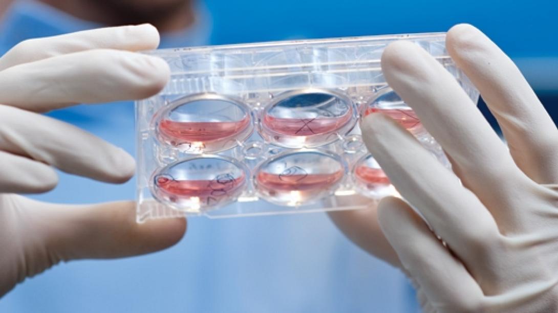 εργαστηριο,