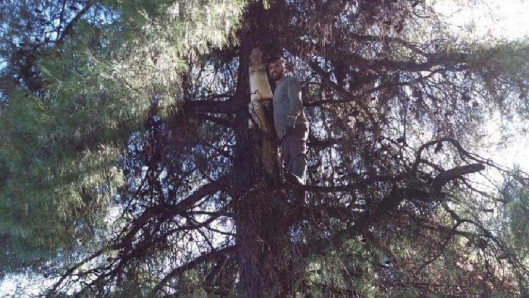 Θανάσης Βαλάσης ρητίνη