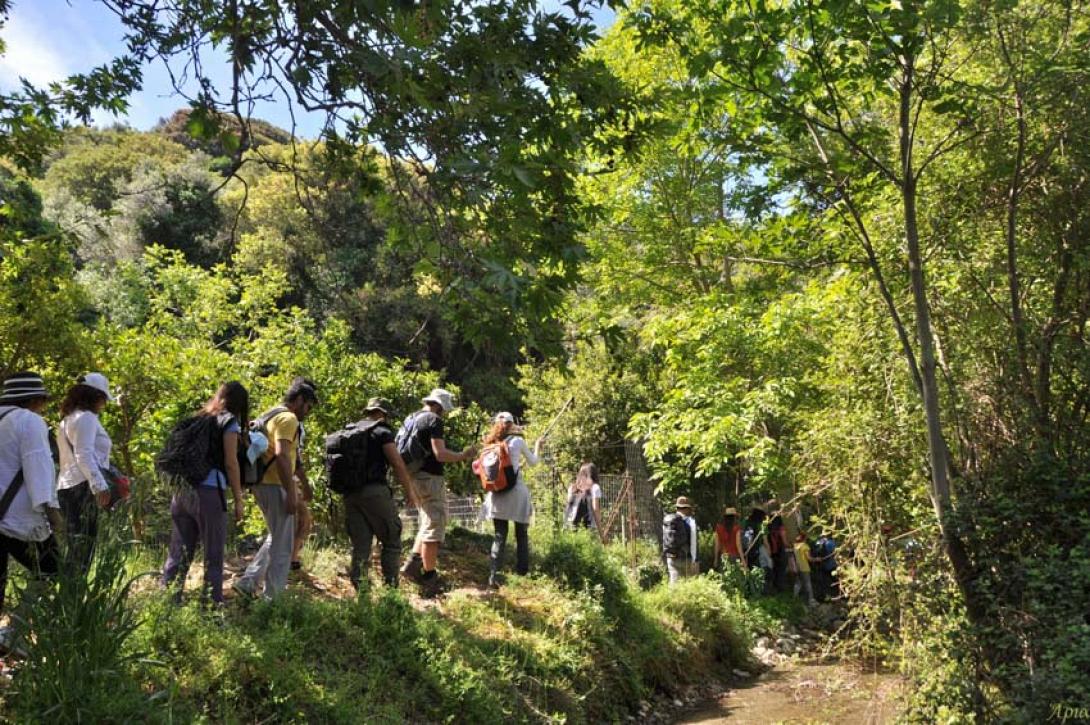 φαράγγι ρίχτη