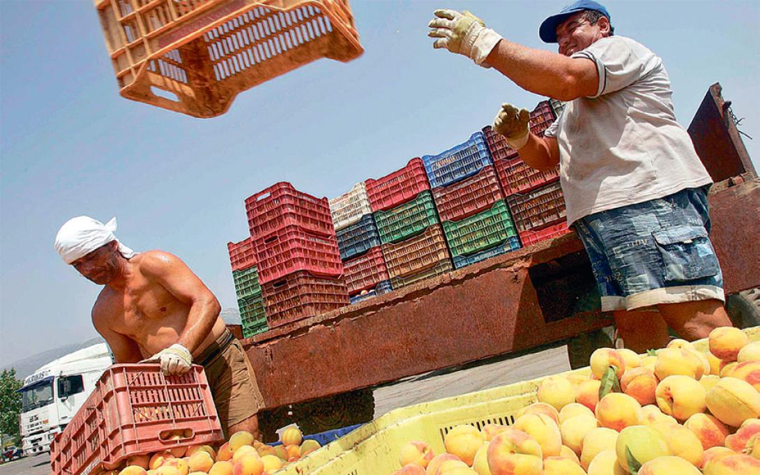 Οι προτάσεις της Ελλάδας για τους ροδακινοπαραγωγούς