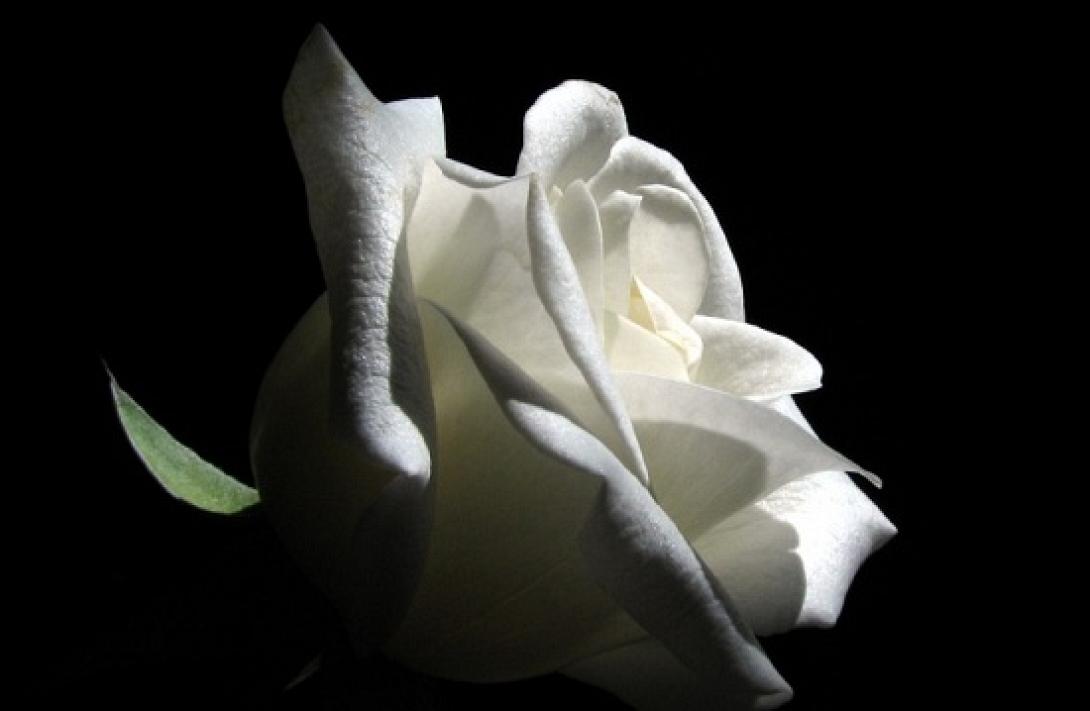 Συλλυπητήρια της Ηράκλειας Πρωτοβουλία στις οικογένειες Κοκκαράκη και Κατεργιαννάκη