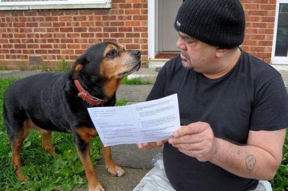 Αυτός είναι ο σκύλος που θα ψηφίσει στις ευρωεκλογές!