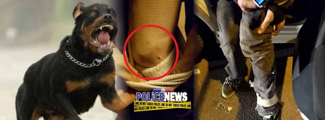 Ανήλικοι Ρομά λήστεψαν και τραυμάτισαν Πυροσβέστη (pics)