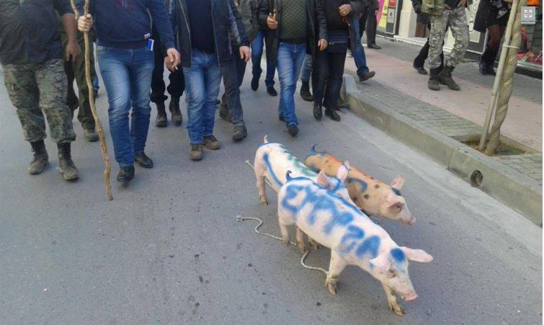 γουρούνια ρέθυμνο