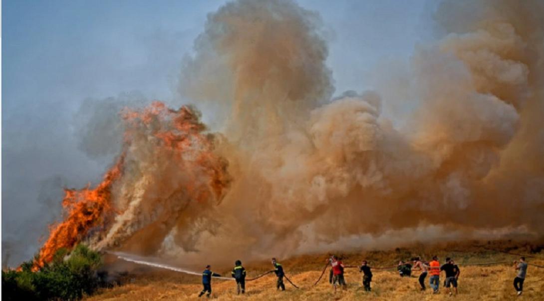 μαλακασα φωτια