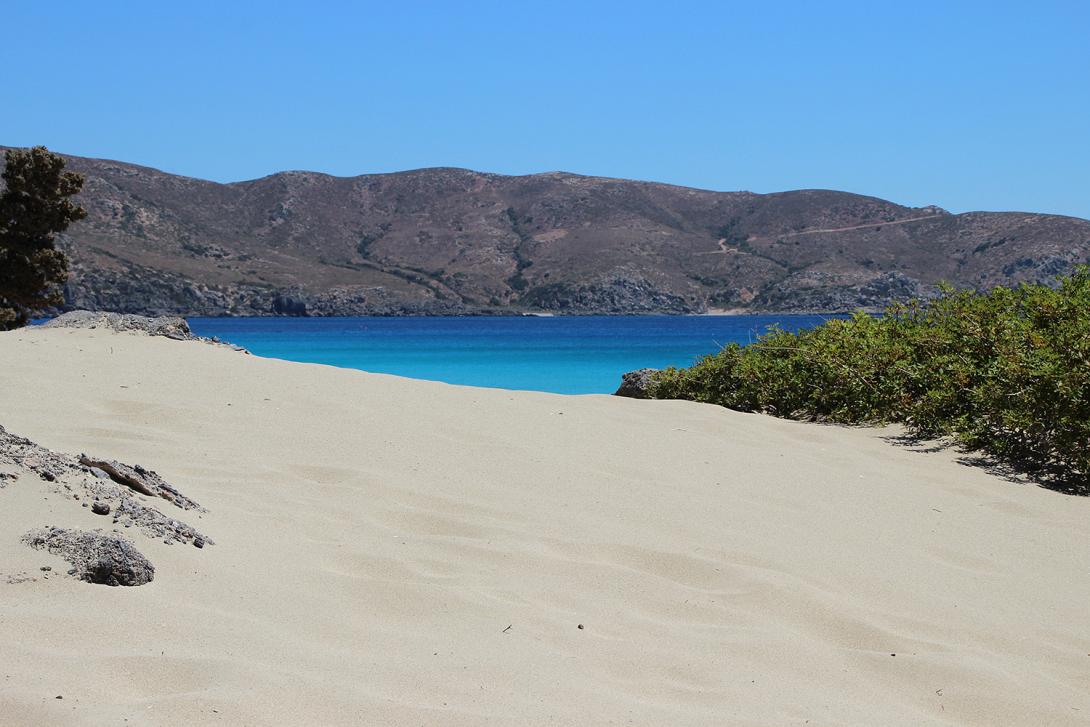 Κεδροδασος