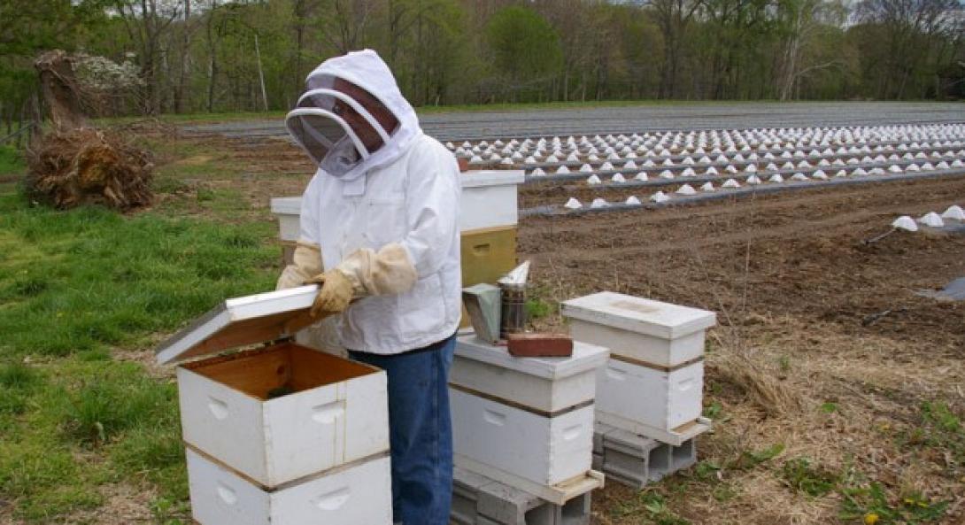 μελισσοκομος