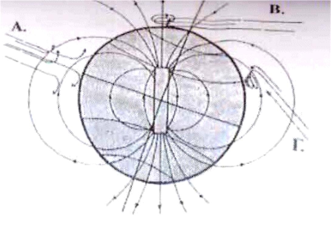 Ομιλία στο ΠΑΓΝΗ για την επίδραση των σεισμών στην ψυχική υγεία