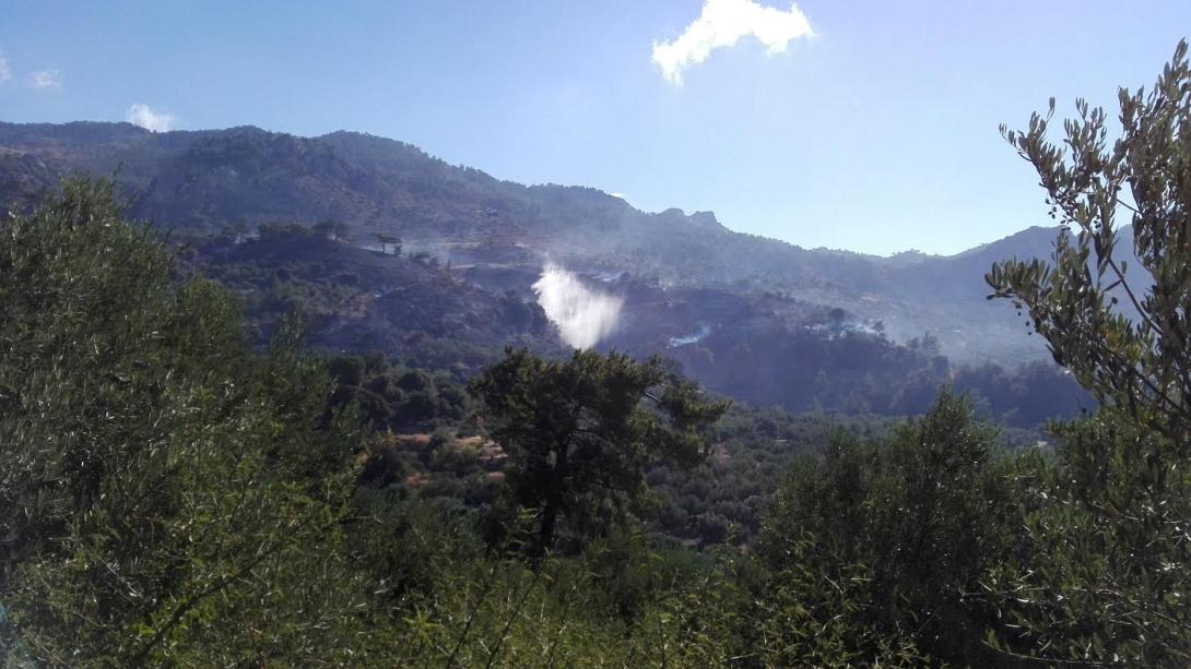 φωτιά σελάκανο