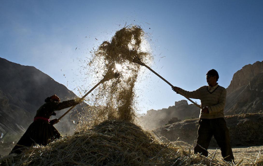 Milq: Ξεχωρίζοντας την ήρα από το στάρι στο διαδίκτυο