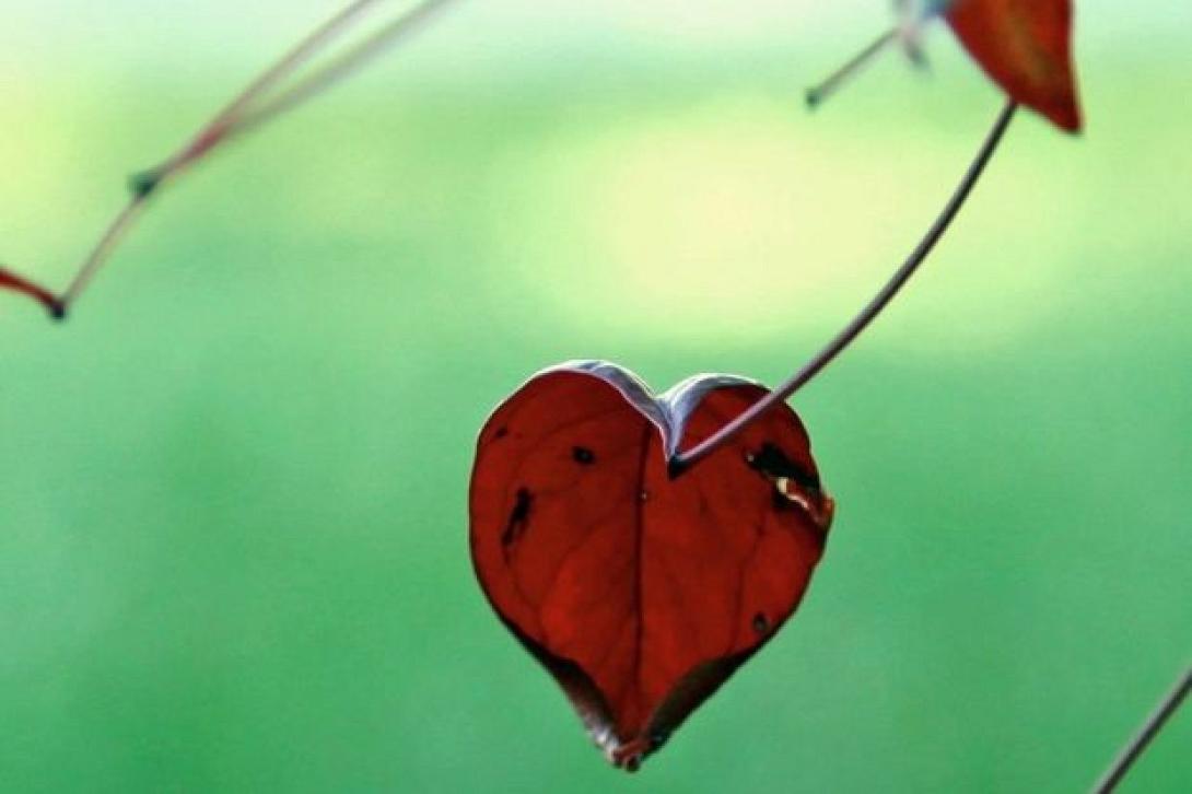 σεξουαλικότητα