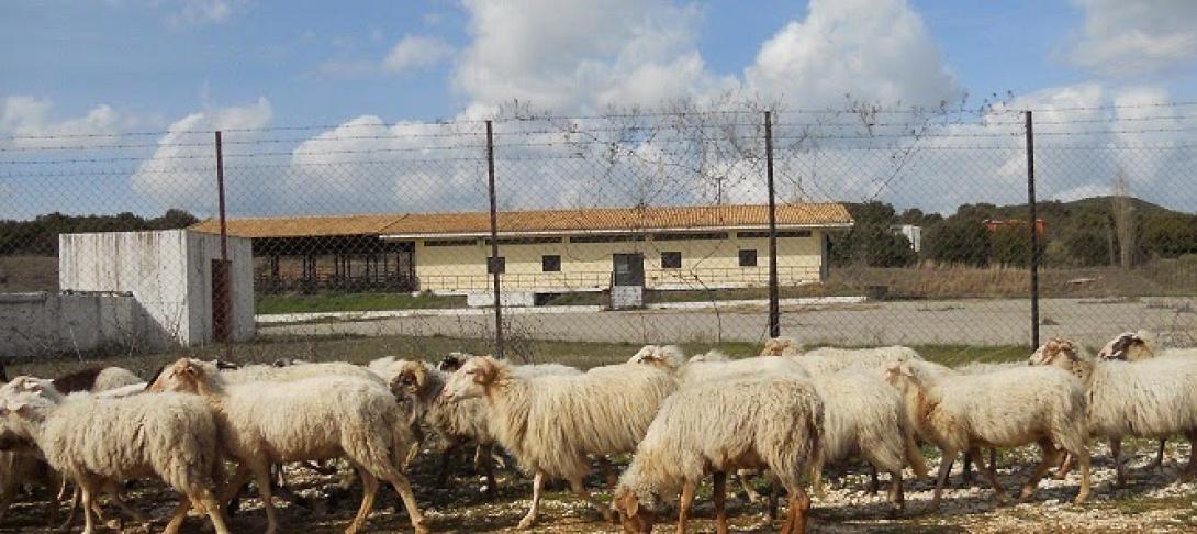 Λήγει σήμερα η προθεσμία πληρωμής των δεδουλευμένων στους εργαζόμενους στα σφαγεία Μοιρών