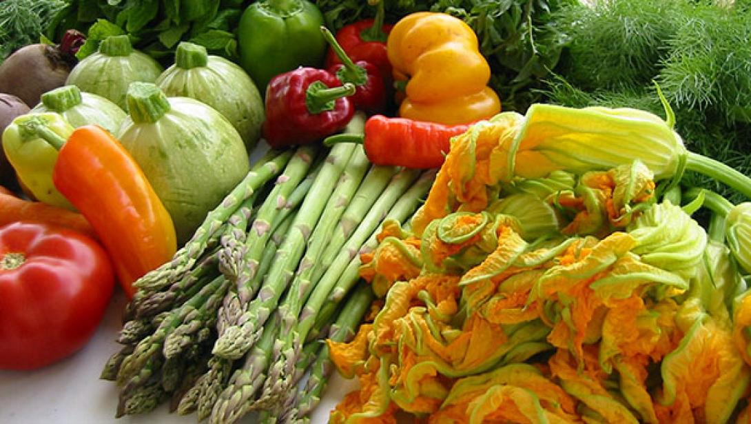 Νέο πρόγραμμα για τη στήριξη καινοτόμων επιχειρήσεων στον αγροδιατροφικό τομέα