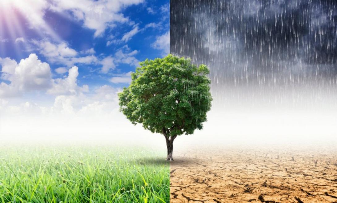 Κλιματική αλλαγή