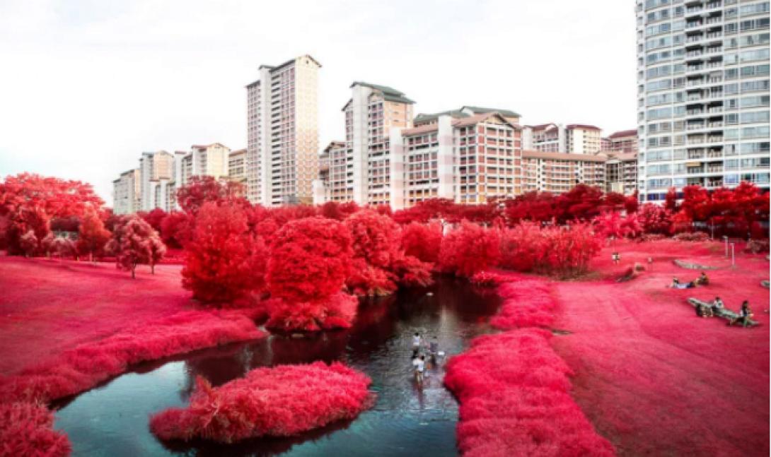 σιγκαπουρη