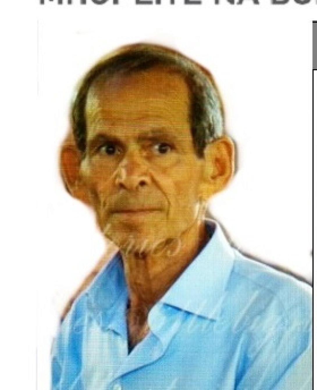 sika.jpg