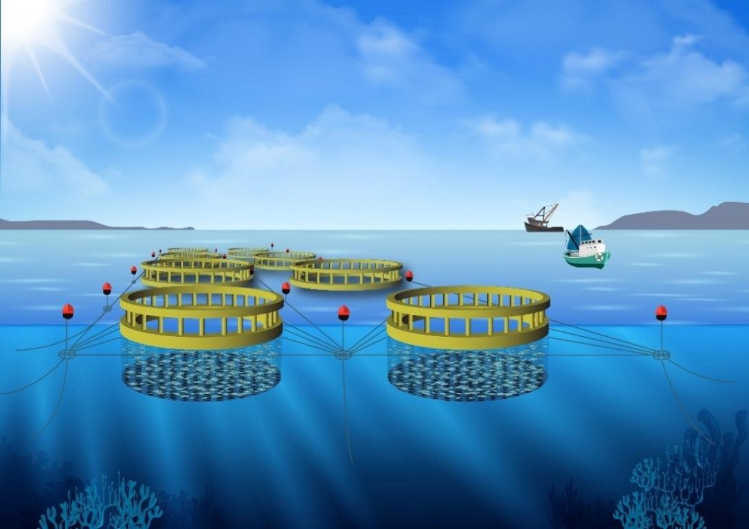 υδατοκαλλιέργεια