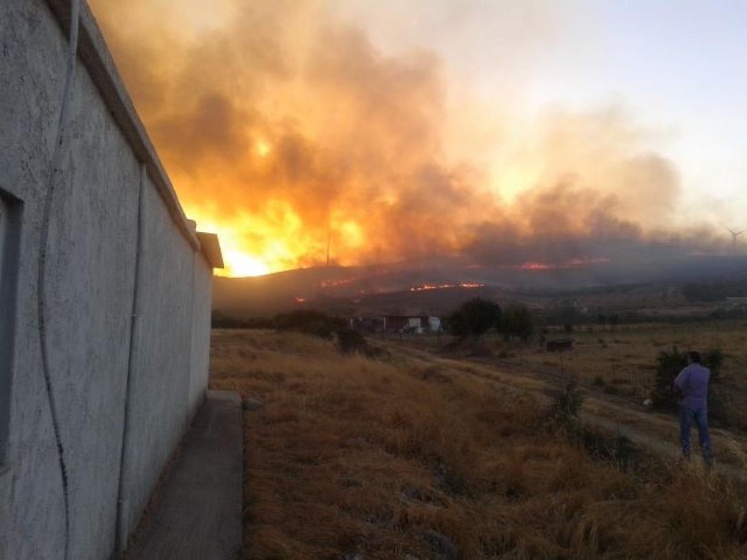 Μεγάλη πυρκαγιά στο Χανδρά Σητείας - Ισχυρές δυνάμεις και μάχη με τις φλόγες (φωτο)