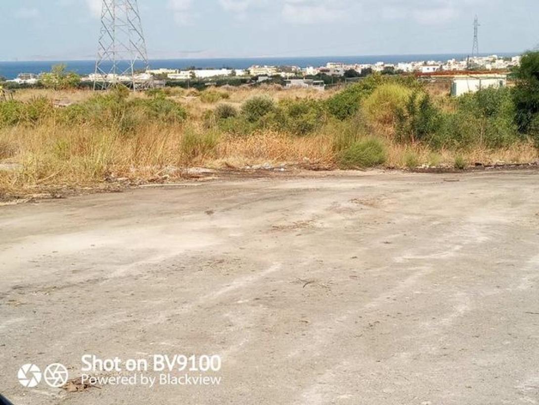 Ο Σκαφιδαράς μετά τον καθαρισμό