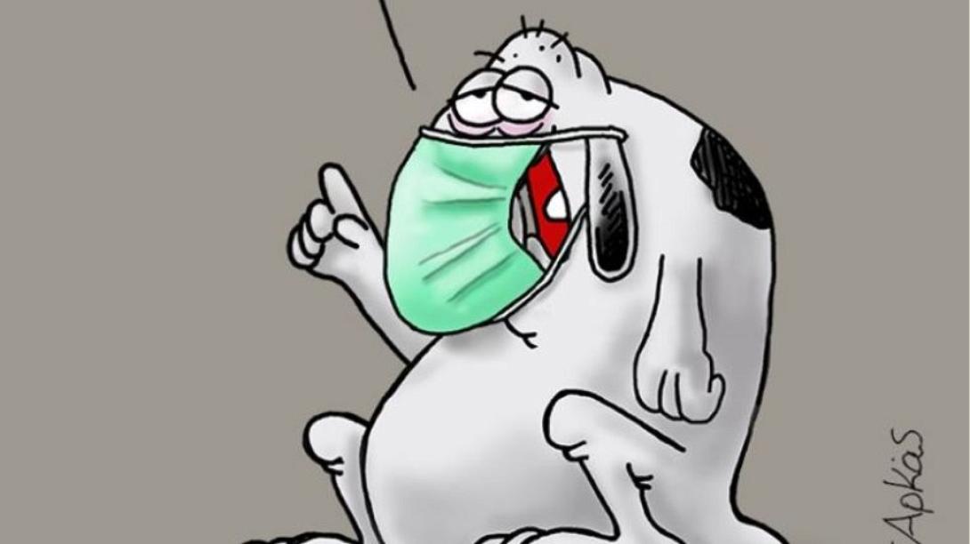 αρκάς σκύλος